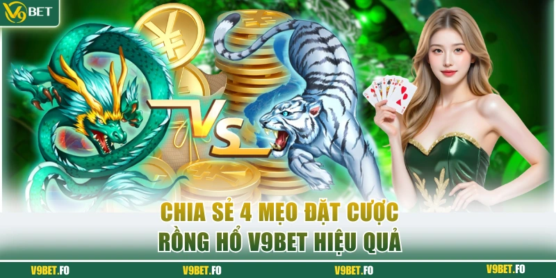 Bỏ túi 4 tips chơi Dragon Tiger dễ thắng từ bậc thầy