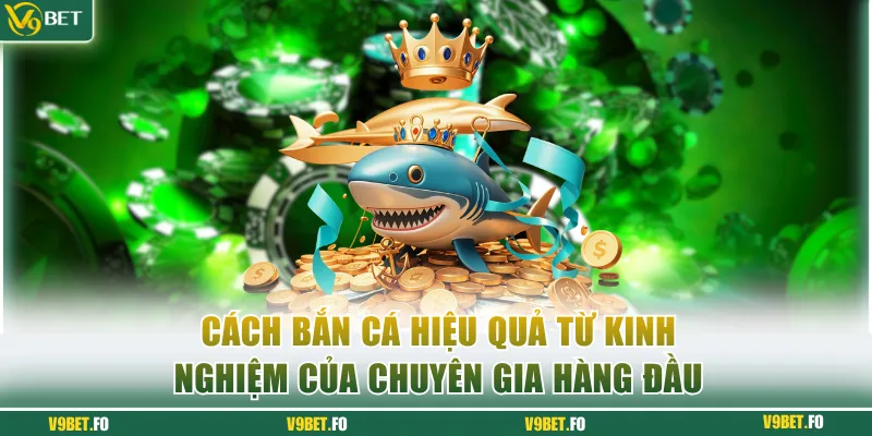 Cách bắn hiệu quả từ kinh nghiệm của chuyên gia hàng đầu