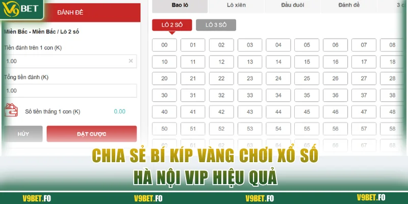 Chia sẻ bí kíp vàng chơi xổ số Hà Nội Vip hiệu quả