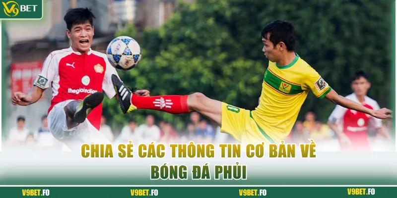 Chia sẻ các thông tin cơ bản về bóng đá phủi